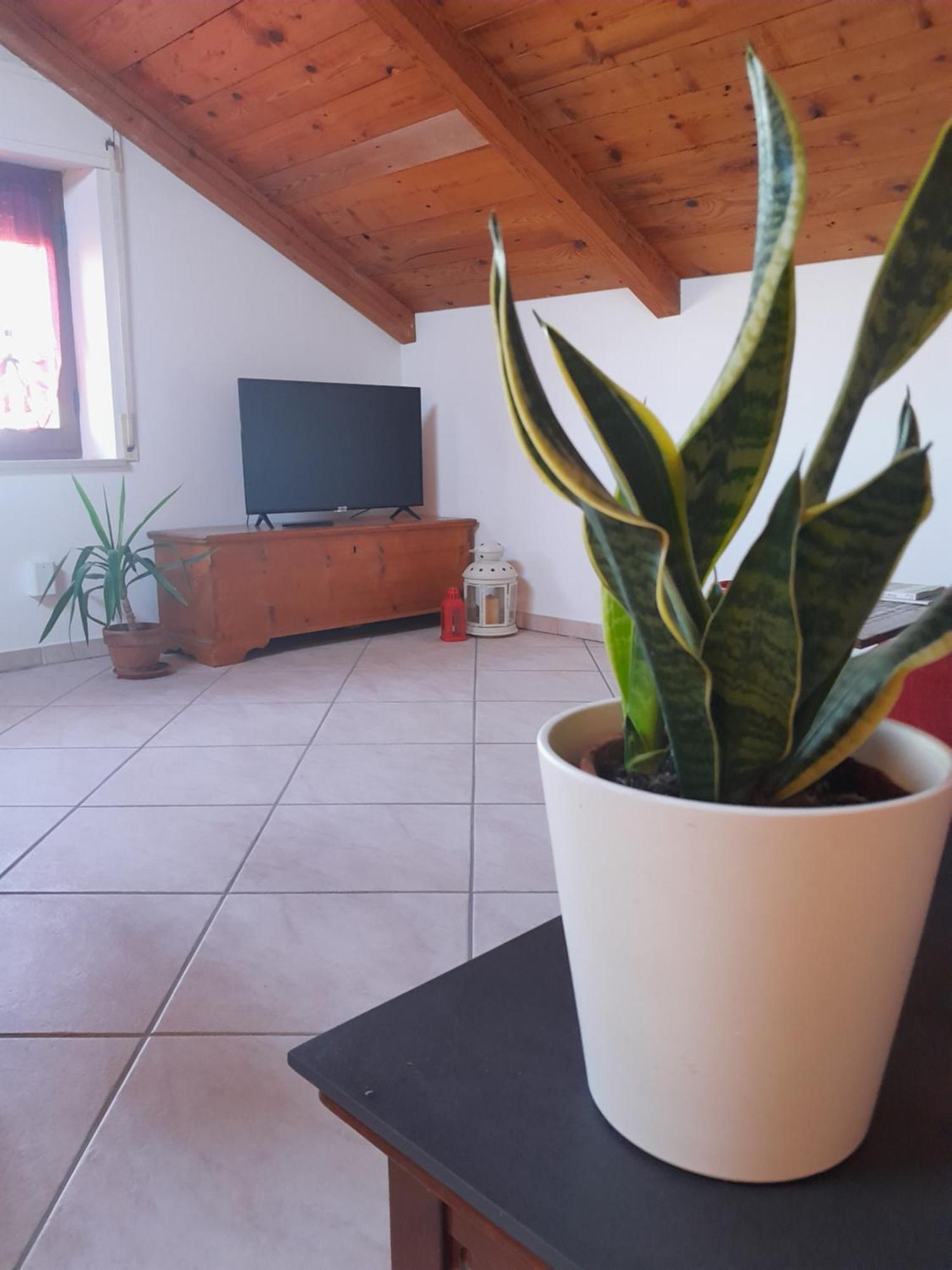 Ferienwohnung Le Rondini Corinaldo Exterior foto